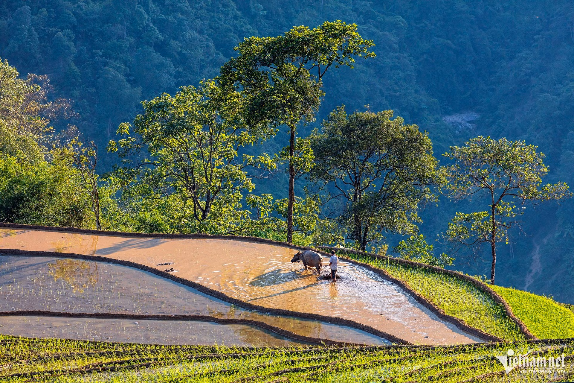 Les populations des minorités ethniques vivant dans les régions montagneuses continuent, avec une admirable persévérance, à préserver leurs coutumes, leurs traditions et leur mode de vie ancestral, malgré le rythme du développement contemporain. Photo : vietnamnet.vn 