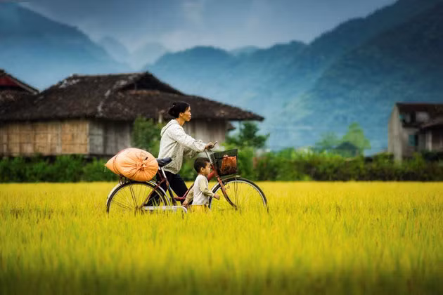 Le bonheur familial simple dans différentes régions du Vietnam ảnh 15