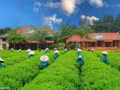 Photo d'illustration: Journal Thai Nguyen/baoquocte