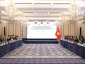 Lors de la table ronde de haut niveau entre le secrétaire général du Parti communiste du Vietnam et président de la République, To Lam, et les dirigeants d’entreprises européennes et belges de premier plan. Photo : VNA.