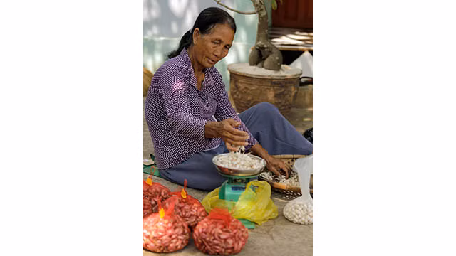 Originalité du marché de l’ail à Ly Son ảnh 1
