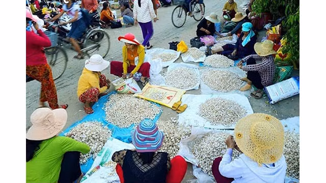 Originalité du marché de l’ail à Ly Son ảnh 5