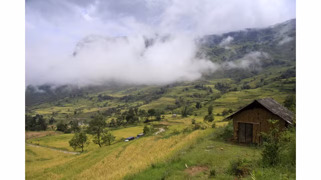Les paysages spectaculaires des rizières en terrasse d’Y Ty ảnh 4