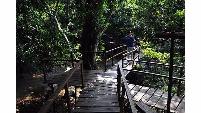 Découverte de la beauté sauvage du ruisseau Nuoc Mooc ảnh 3