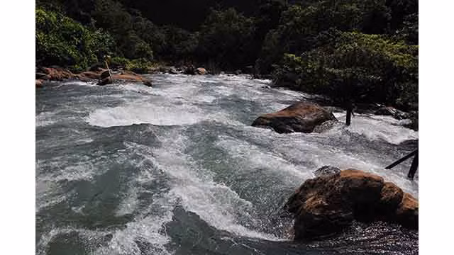 Découverte de la beauté sauvage du ruisseau Nuoc Mooc ảnh 2