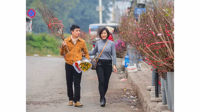 Des pêchers fleurissent dans les rues de la capitale au milieu du froid ảnh 10