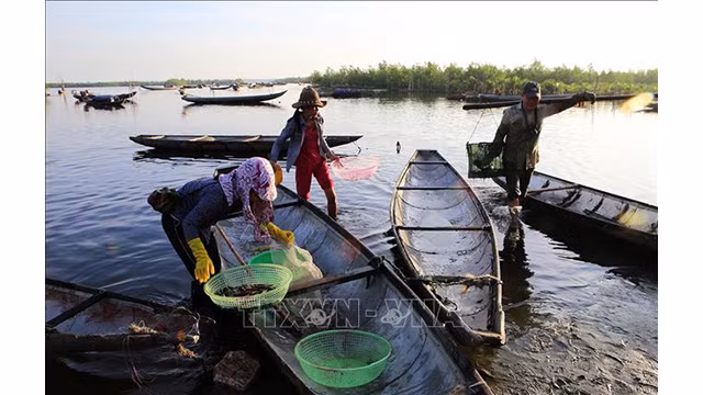 Marché flottant Ngu My Thanh : beauté du pays de Huê ảnh 7