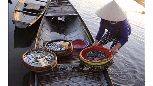 Marché flottant Ngu My Thanh : beauté du pays de Huê ảnh 6