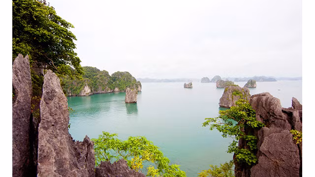 Vung Hà, lieu paradisiaque de roches et d’eau ảnh 5