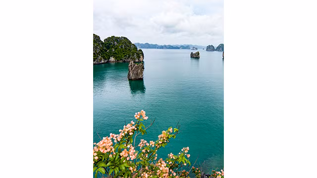 Vung Hà, lieu paradisiaque de roches et d’eau ảnh 4 Vung Hà, lieu paradisiaque de roches et d’eau ảnh 4