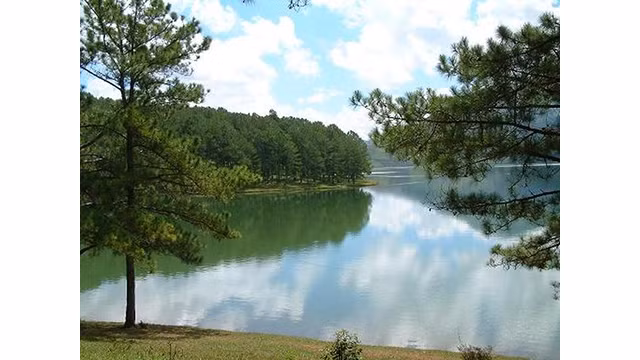 Des paysages poétiques du lac Suôi Vàng - Dà Lat ảnh 3