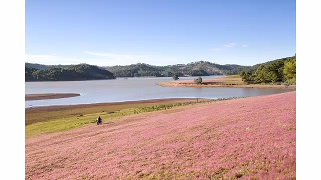 Des paysages poétiques du lac Suôi Vàng - Dà Lat ảnh 2