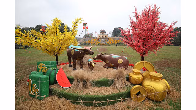Relâchement des carpes et l’érection du « cây nêu » à la Citadelle royale de Thang Long ảnh 5