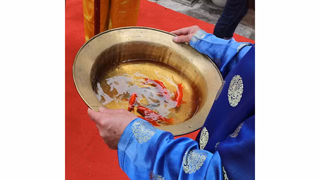 Relâchement des carpes et l’érection du « cây nêu » à la Citadelle royale de Thang Long ảnh 9
