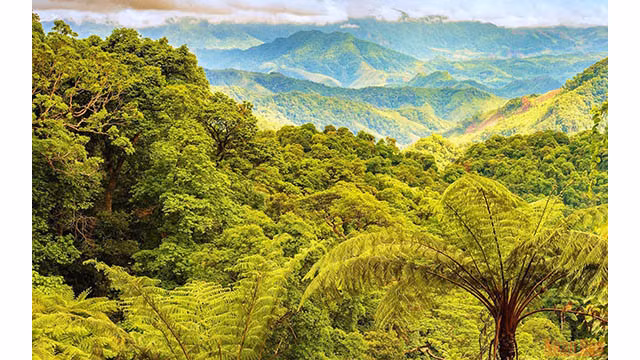 La belle cascade Toc Tiên, dans la forêt de Dông Châu à Quang Binh ảnh 2