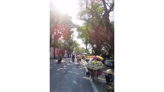 Hanoi brille de couleurs de fleurs d’automne ảnh 4