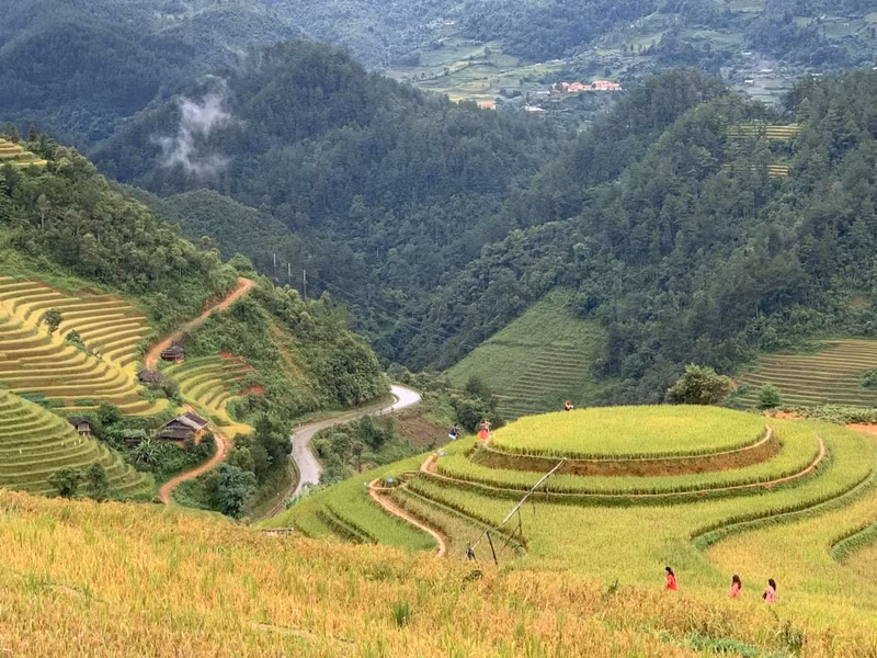Mu Cang Chai inondé de la couleur jaune de rizières en terasse ảnh 8