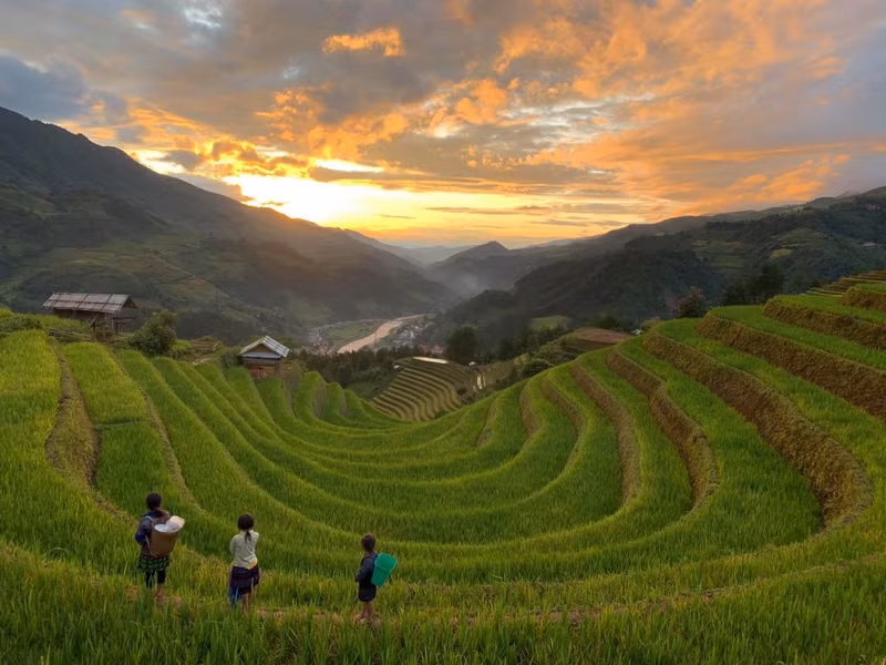 Mu Cang Chai inondé de la couleur jaune de rizières en terasse ảnh 9