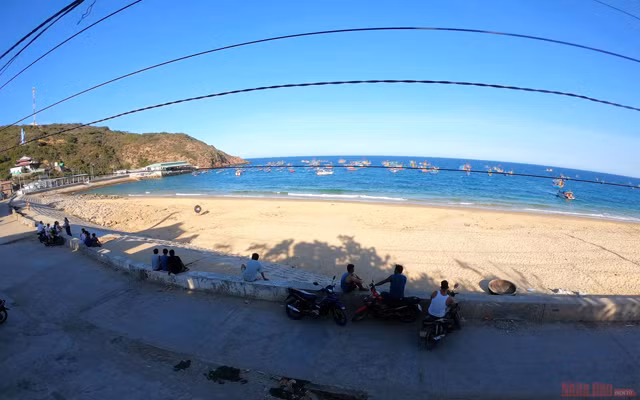 Potentiel touristique de Nhon Ly ảnh 8 Potentiel touristique de Nhon Ly ảnh 8