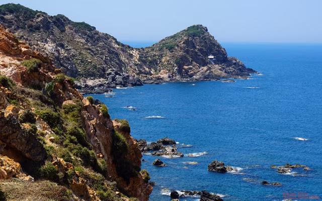 Potentiel touristique de Nhon Ly ảnh 2 Potentiel touristique de Nhon Ly ảnh 2