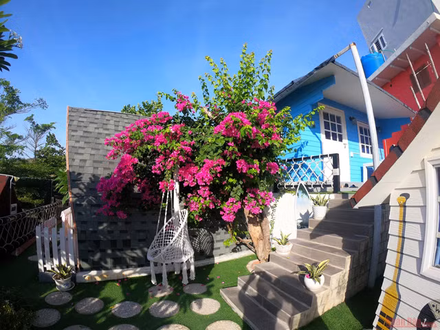 Potentiel touristique de Nhon Ly ảnh 10 Potentiel touristique de Nhon Ly ảnh 10