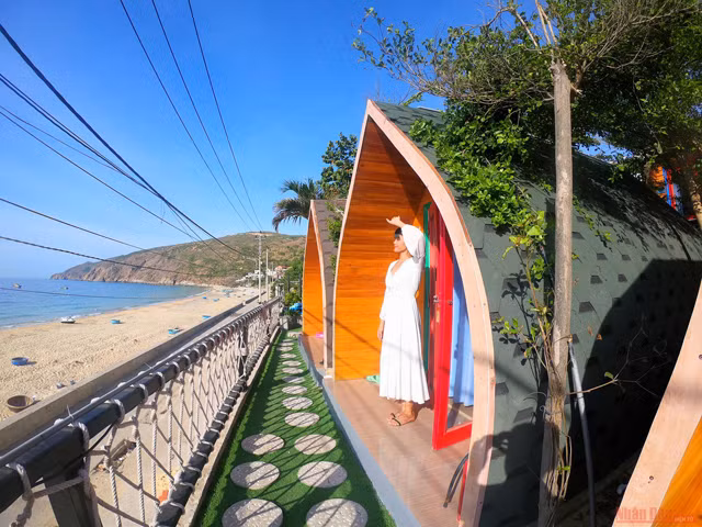 Potentiel touristique de Nhon Ly ảnh 11 Potentiel touristique de Nhon Ly ảnh 11