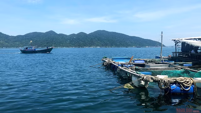 À la découverte du cap Dai Lanh et de la baie de Vung Rô ảnh 8