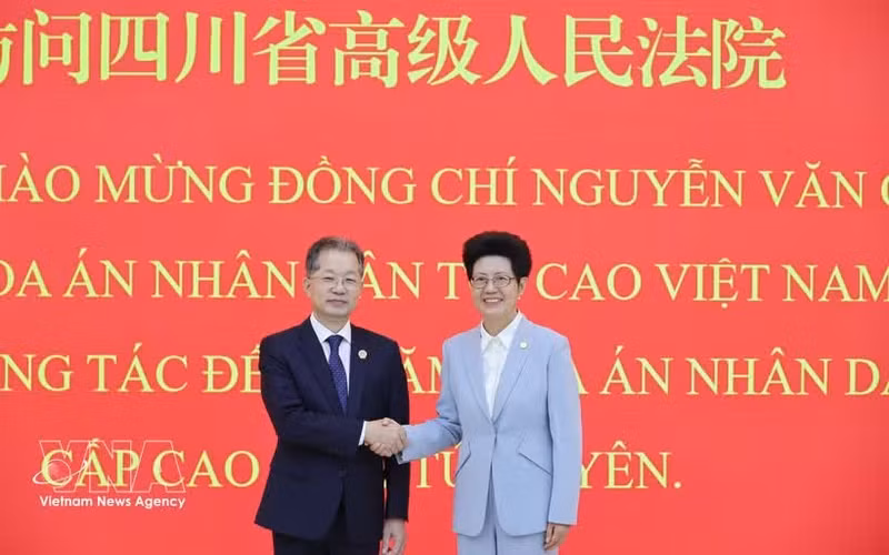 Le président de la Cour populaire suprême du Vietnam, Nguyên Van Quang (gauche) et le président de la Cour populaire supérieure du Sichuan, Chen Zhijun. Photo : VNA.