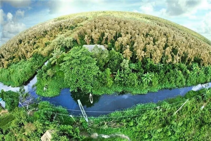 La télédétection au service du suivi et de la vérification des crédits carbone forestiers au Vietnam. Photo : Département de la télédétection nationale.
