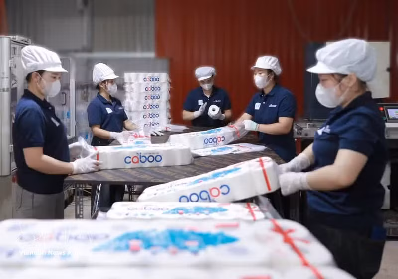 Les entreprises vietnamiennes doivent cibler précisément leurs segments de marché, leurs zones géographiques et leurs canaux de distribution. Photo : VNA.
