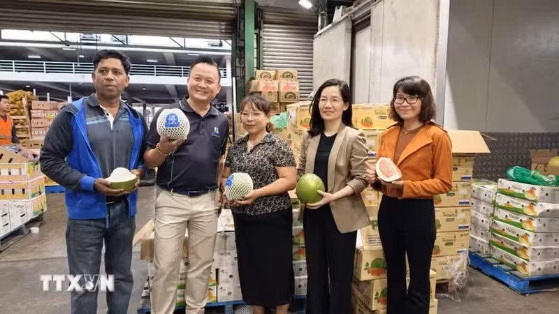 Des représentants du Service commercial du Vietnam en Australie, du groupe 4 Ways Fresh, des petits commerçants vietnamiens et des employés du marché de gros Sydney Market lors de l’événement de lancement du pamplemousse vietnamien sur le marché australien. Photo : VNA.