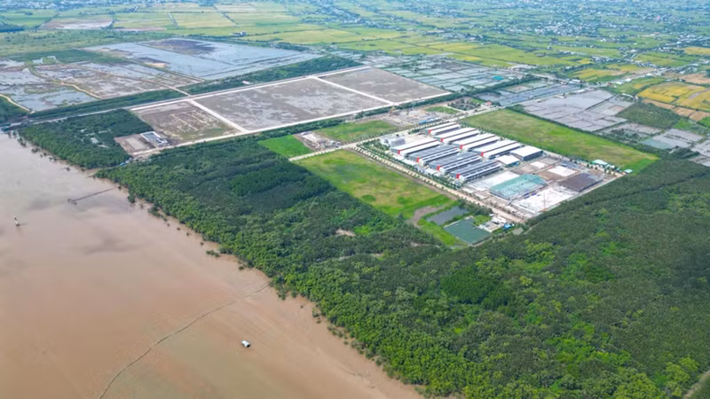La zone prévue pour la construction de la zone économique côtière de Dong Thap. Photo : VOV.
