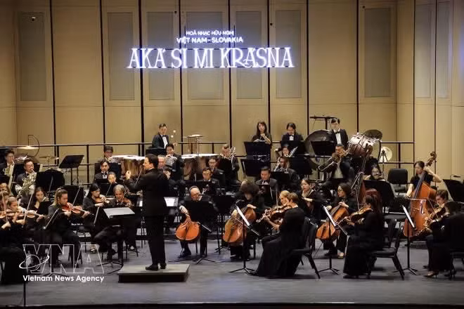 concert-2.jpg