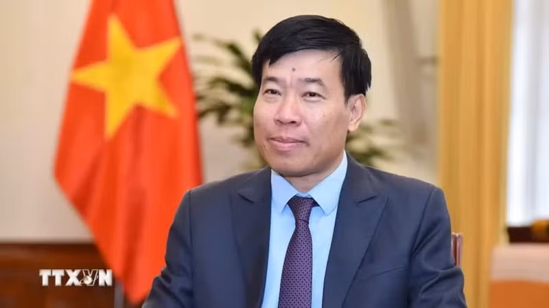 Le vice-ministre vietnamien des Affaires étrangères Nguyen Manh Cuong. Photo : VNA.