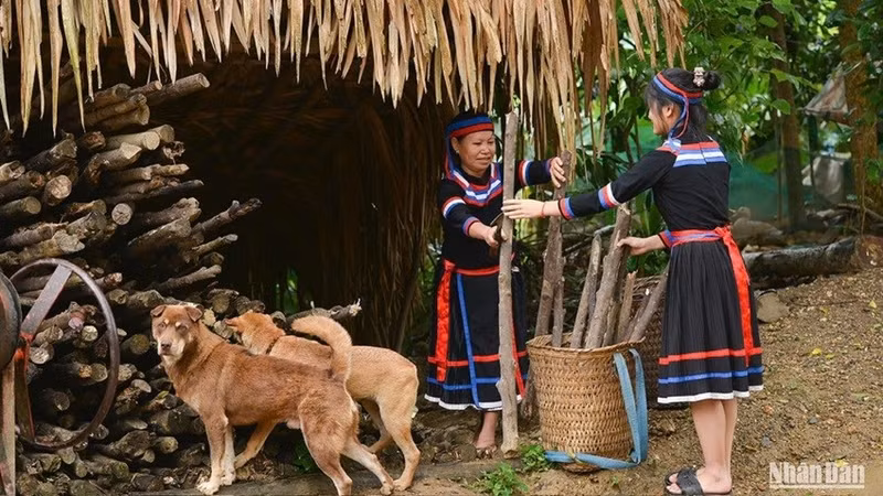 thuy4.jpg