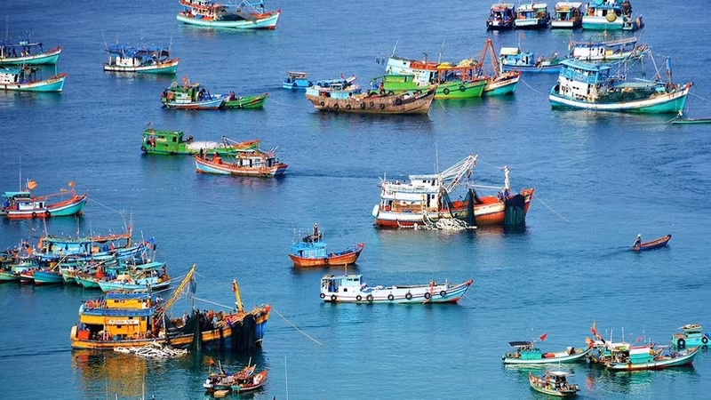 Les exportateurs vietnamiens de produits aquatiques aux côtés du gouvernement pour préserver leur réputation et leurs marchés internationaux. Photo : NDEL.