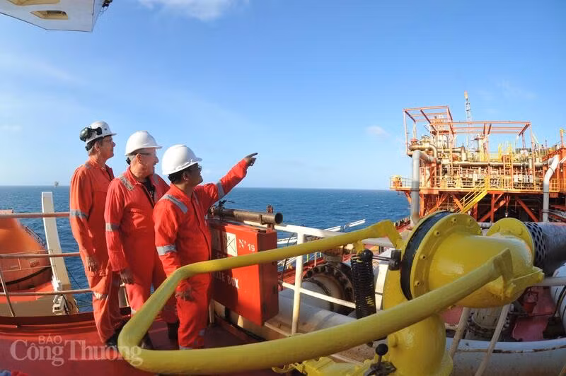 petrovietnam1-09553168.jpg