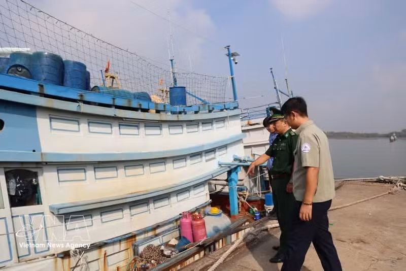 Des responsables du port de pêche, des gardes-frontières et des représentants du gouvernement local du quartier de Phuoc Thang inspectent des bateaux de pêche ancrés dans le port de Cat Lo. Photo : VNA.