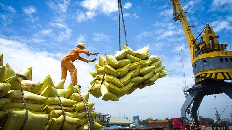 Le Vietnam a dépassé la Thaïlande pour devenir le deuxième exportateur mondial de riz. Photo : VGP.