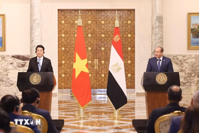 Le président vietnamien Luong Cuong (à gauche) et son homologue égyptien Abdel Fattah El-Sisi lors de la conférence de presse tenue après leur entretien. Photo : VNA.