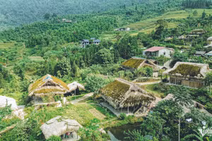 Xa Phin, le village aux toits couverts de mousse verte