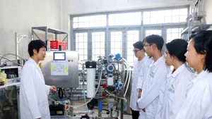 Le Parti, l’État et le Gouvernement ont intensifié leur pilotage pour engendrer des transformations substantielles dans le développement de l’être humain, l’éducation et la formation, les sciences, les technologies et l’innovation. Photo : VNA.