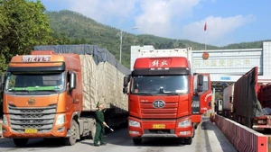 Des marchandises sont transportées au poste frontière de Chi Ma, dans la province de Lang Son. Photo : Van Dat/VNA.