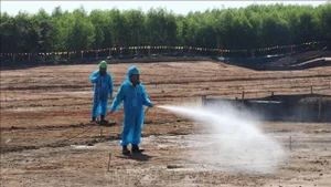 Traitement de la dioxine sur le site de l’aéroport de Bien Hoa. Photo d’archives et d’illustration : VNA.