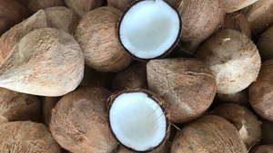 Le Vietnam a dépensé 7,2 millions de dollars pour importer de la noix de coco transformée au cours des quatre premiers mois, soit une augmentation de 11,3 fois par rapport à la même période l'année dernière. Photo: congthuong