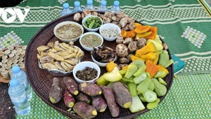 Lors de la fête de Ma Gro des Khmu, les offrandes consistent en un assortiment complet de produits de la montagne et de la forêt, préparés par les villageois pour être présentés à leurs ancêtres et à leurs divinités.