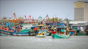 Des agents se rendent directement à bord pour expliquer en détail les réglementations relatives à la lutte contre la pêche INN. Photo : VNA.