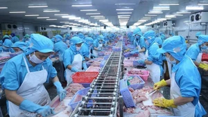 Transformations des produits aquatiques pour les exportations. Photo : VNA.