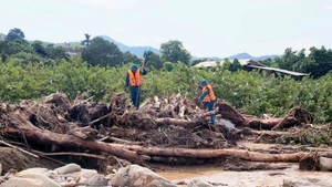 Recherche de personnes disparues dans la commune de Chieng Xo, province de Son La. Photo : VNA.