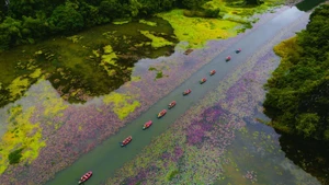 Tam Coc - Bich Dong - une beauté émouvante. Photo: nld.com.vn